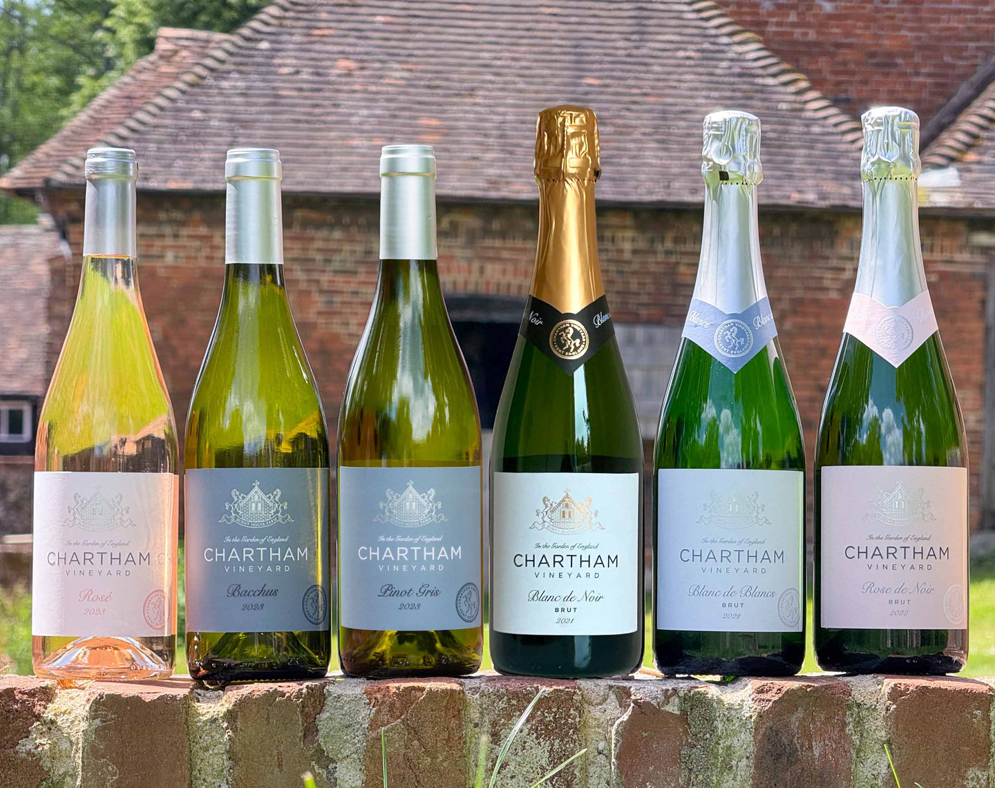 Starter Wine Case (6 bottles)