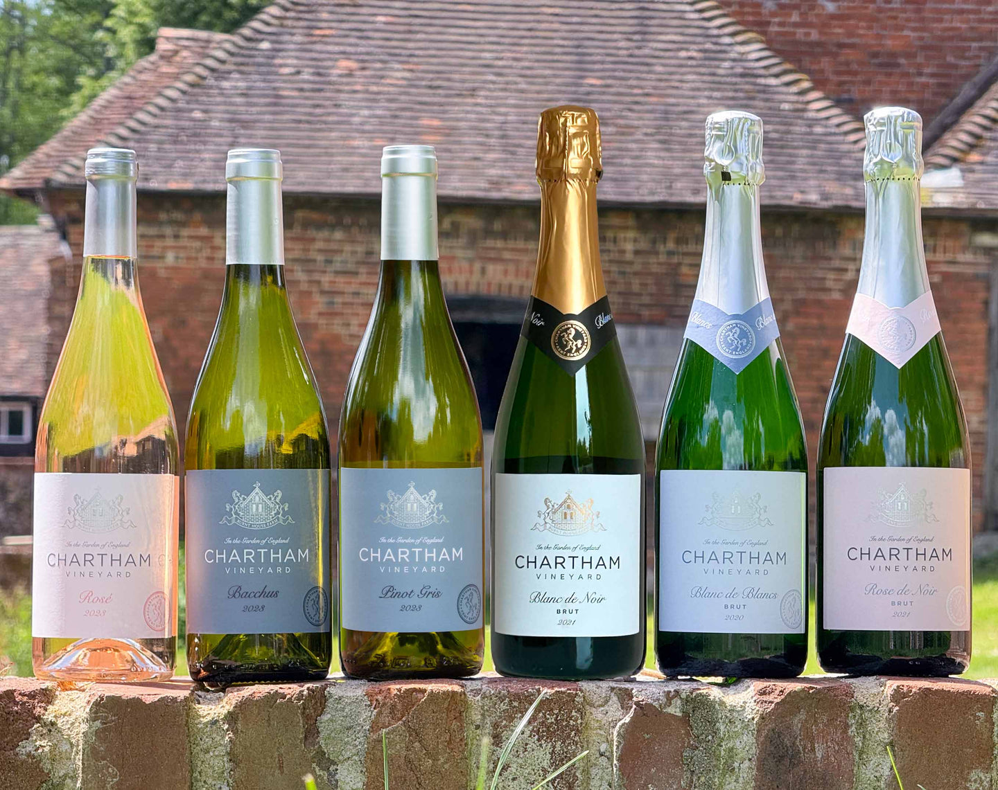 Starter Wine Case (6 bottles)